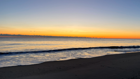 Links to Bible Studies are Below: